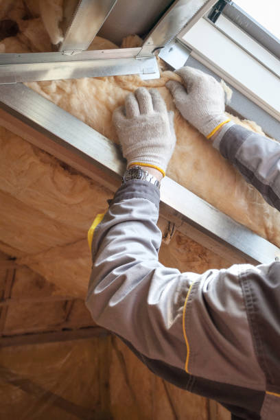 Best Commercial Insulation in Struthers, OH